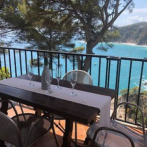 LES TERRASSES de Cala Llevado
